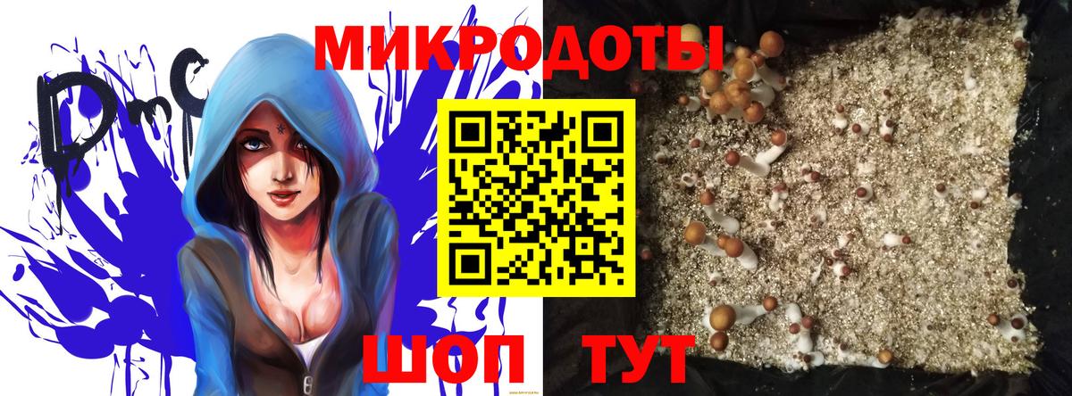 Галлюциногенные грибы GOLDEN TEACHER Серпухов